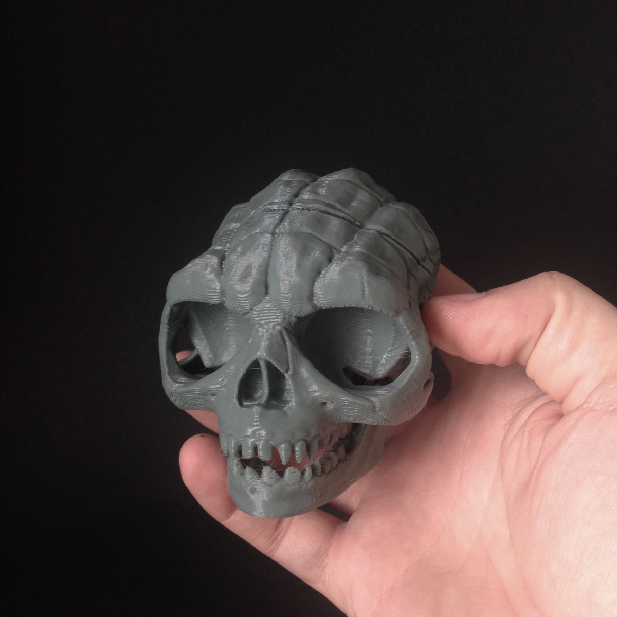 001 Wise Skull | 3D Print The Entire Parody Skull Collection