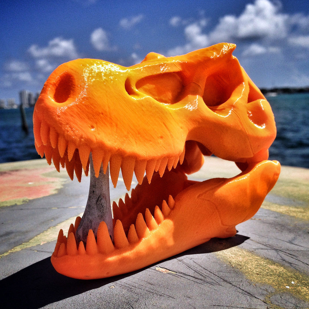 Claire Kompliment plukke T-Rex Skull For 3D Printing – 3DKToys