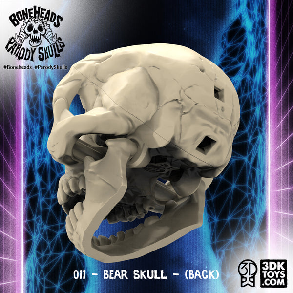 011 Bear Skull