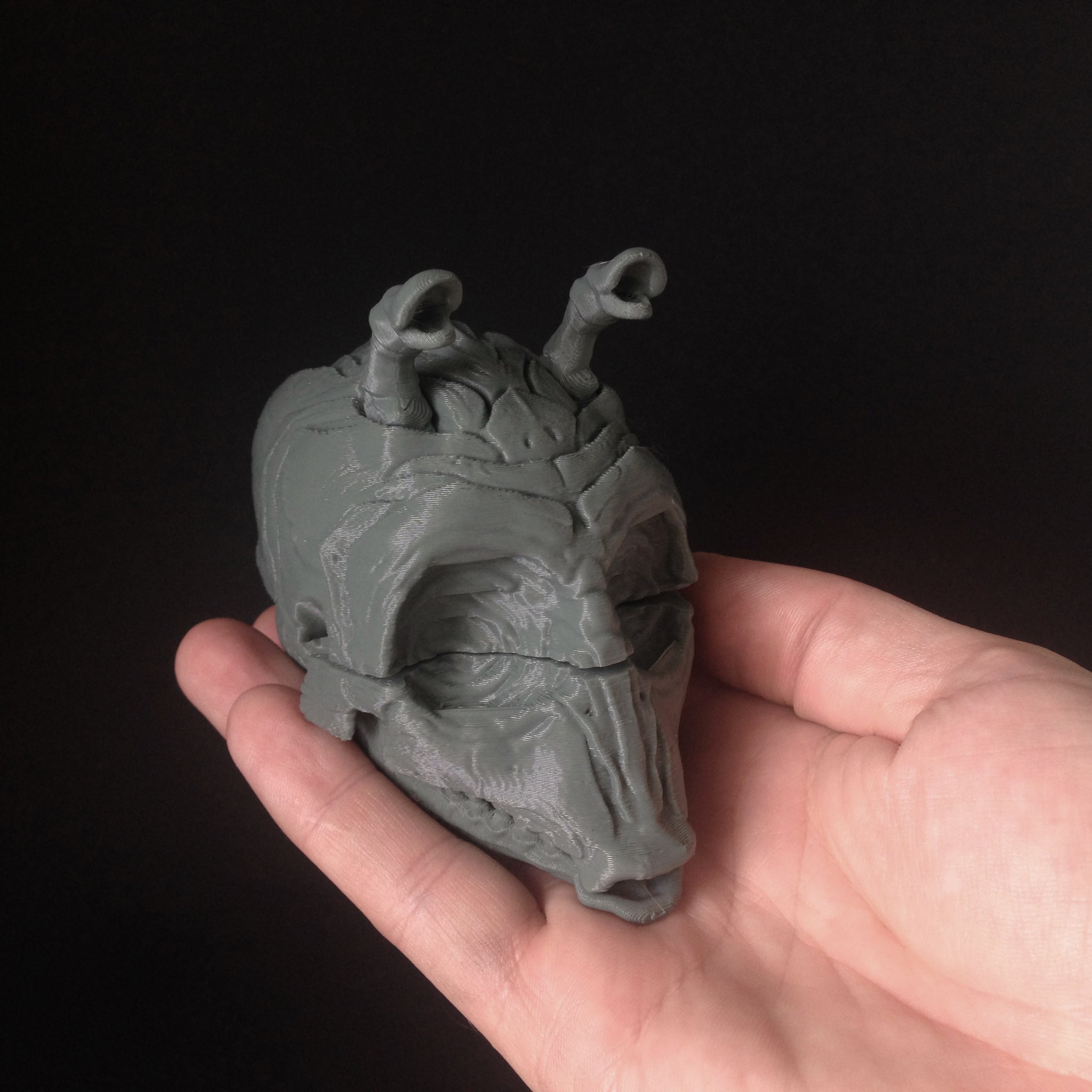 003 Bounty Skull | 3D Print The Entire Parody Skull