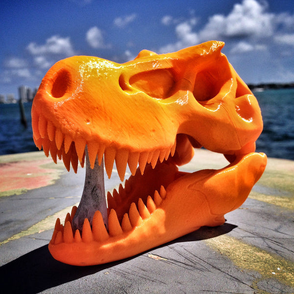 T-Rex Skull For 3D Printing – 3DKitbash