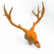 Deer Skull With Antlers (no jaw)